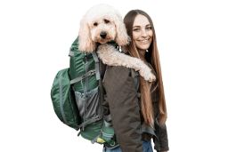 Dog backpack Kolossus green XL (DBP24PKS-XL) (1)