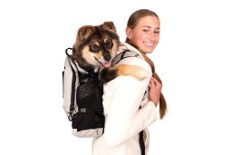 Dog backpack K9 Sport Sack Plus 2 grey L (DBP24PPL-L) (1)