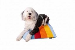 dbp24psl-lxl-dog-bed-k9-sport-sack-sleeper-multicolour-l-xl-1