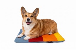 dbp24psl-sm-dog-bed-k9-sport-sack-sleeper-multicolour-s-m-1