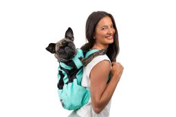 Dog backpack K9 Sport Sack Air 2 summer mint M (DBP34PSA-M) (1)