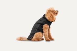 Dog jacket Goo-eez Signature Wrap Black L (1)