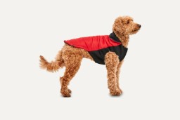 Dog jacket Goo-eez Signature Wrap Red/Black S (1)