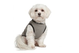Cooling vest CoolPets S (1)