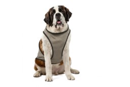 Cooling vest CoolPets XL (1)