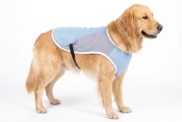Cooling vest Flamingo Frozen L (1)