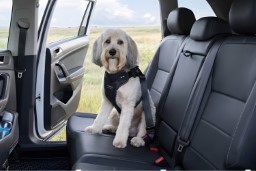 Dog harnessfor the car DogMaster 2.0 (1)