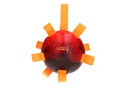 Ball Dog Comets Hypernova orange (FET1DCHN) (1)