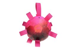 Ball Dog Comets Hypernova pink (FET2DCHN) (1)
