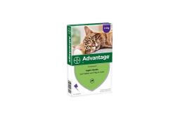 Anti-insect agent Advantage 80 cat >4 kg (FTD1AEAI-80) (1)