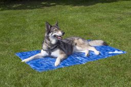 Cooling mat CoolPets Premium S (PCB1CPKM-S) (1)