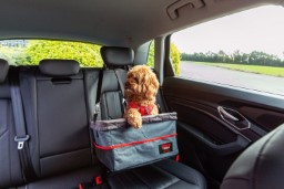 Dog car seat KONG Travel Ultimate Booster Seat & Tether (2)