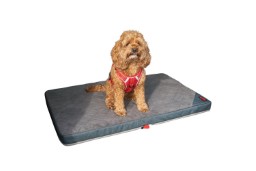 Dog travel mat KONG Travel Fold-Up (1)