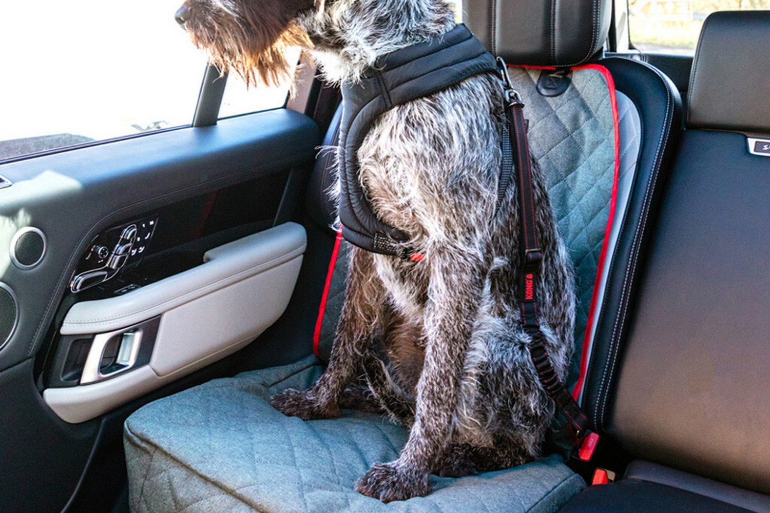 Dog car tether KONG Travel Cargo Swivel (4) Dog car tether KONG Travel Cargo Swivel (4)