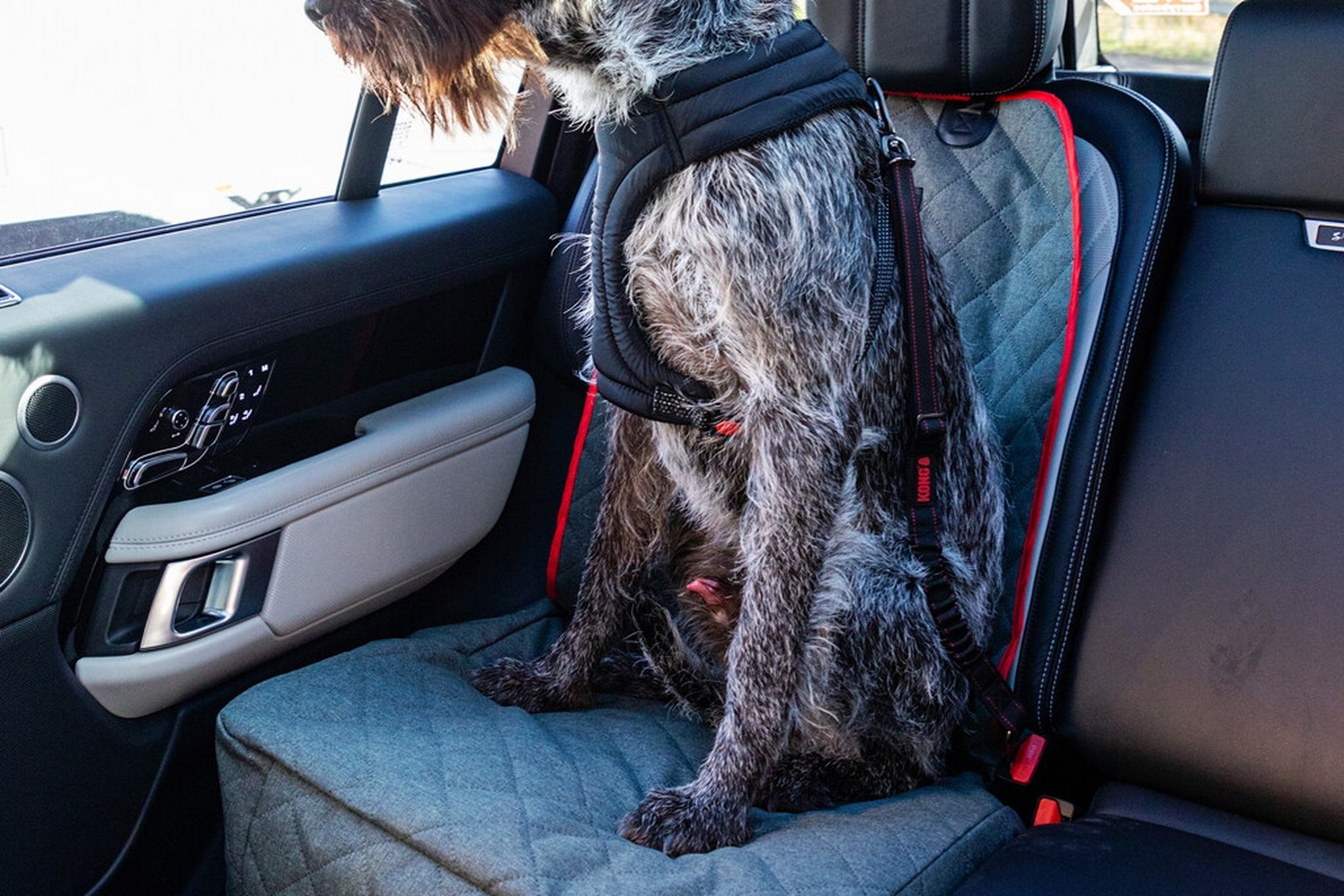 Car seat cover KONG Single (6) Car seat cover KONG Single (6)
