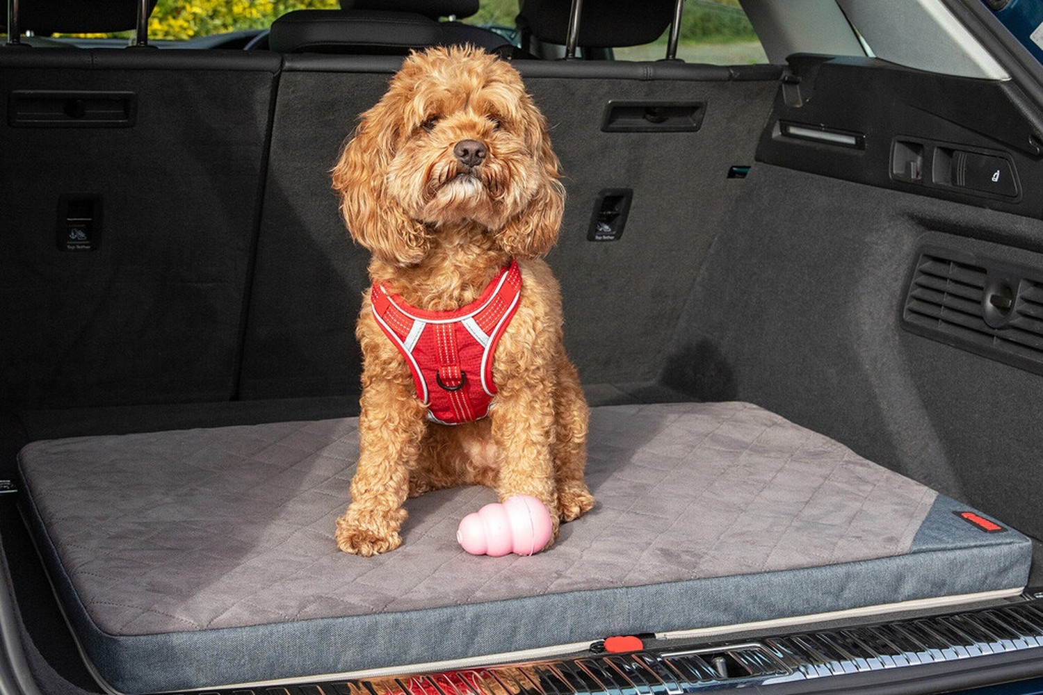Dog travel mat KONG Travel Fold-Up (2) Dog travel mat KONG Travel Fold-Up (2)