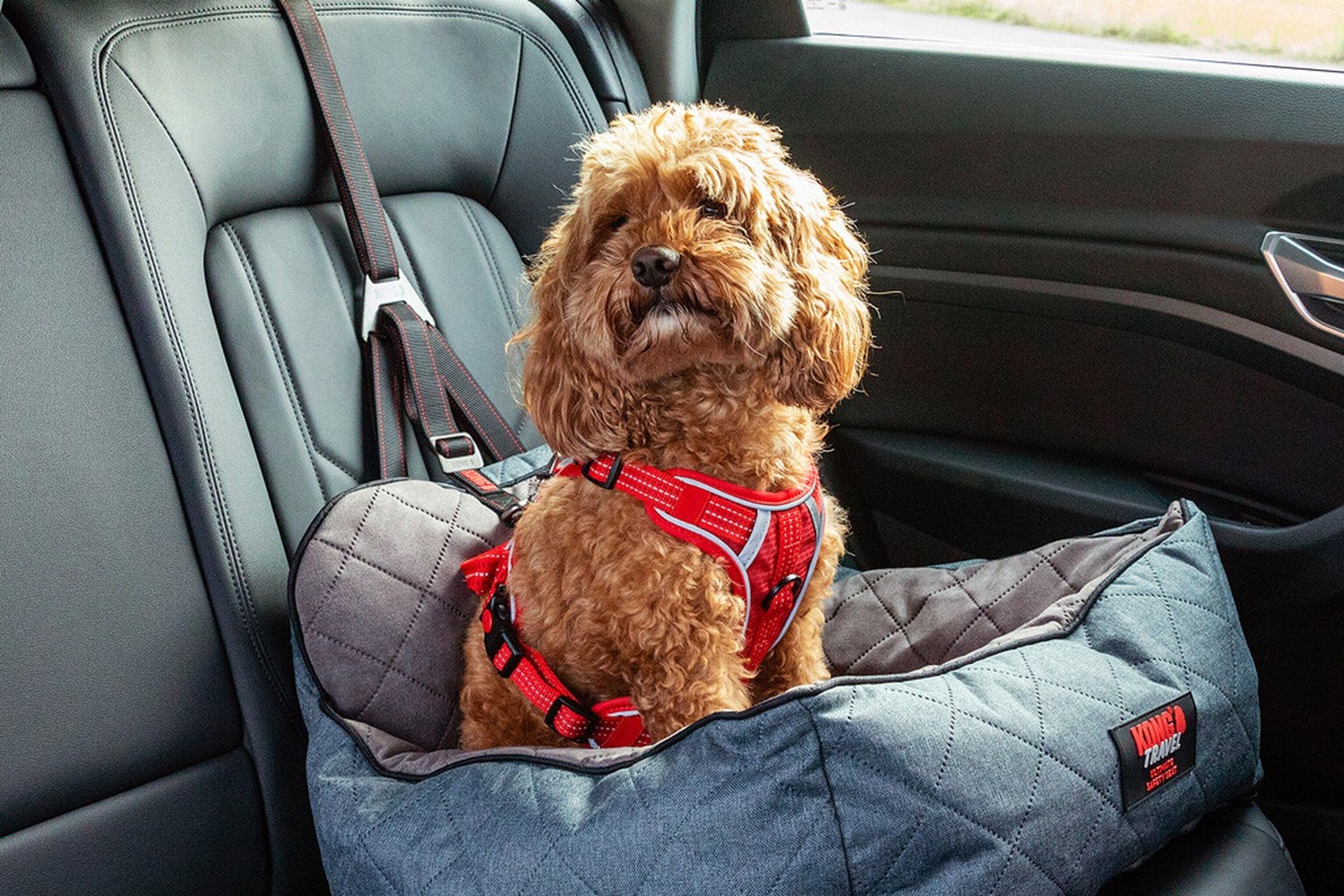 Dog car seat KONG Travel Ultimate Safety Seat (2) Dog car seat KONG Travel Ultimate Safety Seat (2)