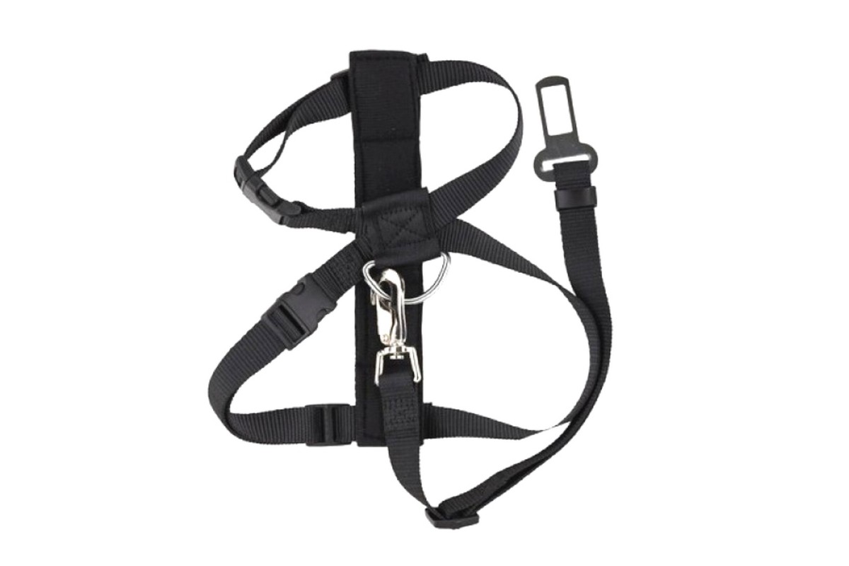 Ceinture de sécurité chien avec harnais 110cm