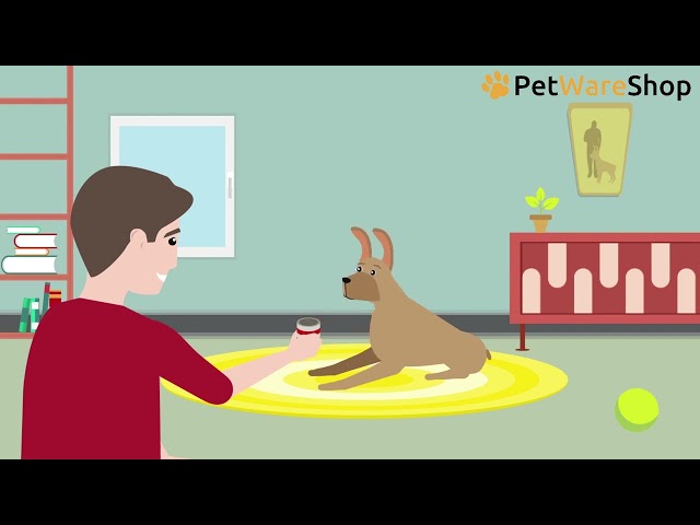 RelaxoDog (EN) - Explanation Video - PetWareShop