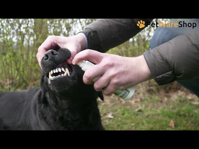 Dental Oral Spray (DE) - PetWareShop