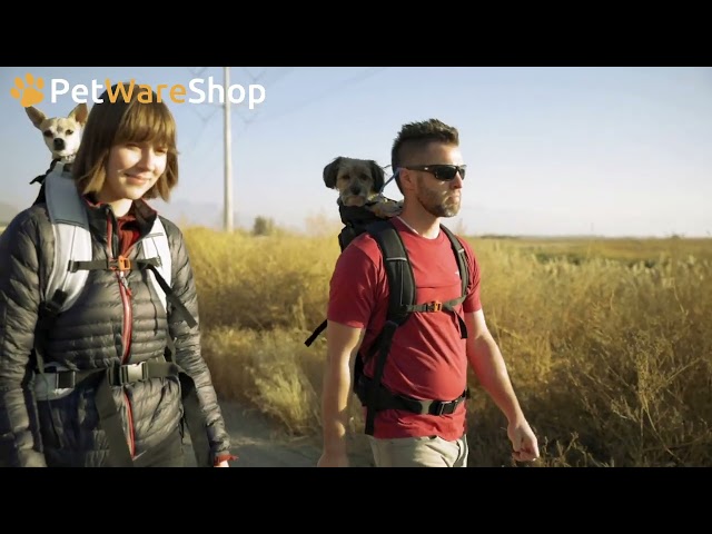 Video K9 Sport Sack - Knavigate (NL)