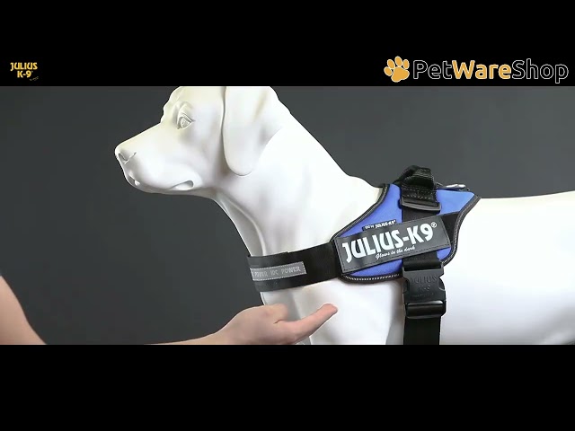 K9-Julius - IDC&reg; Powerharness (EN) - PetWareShop