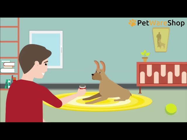 RelaxoDog (NL) - Explanation Video - PetWareShop