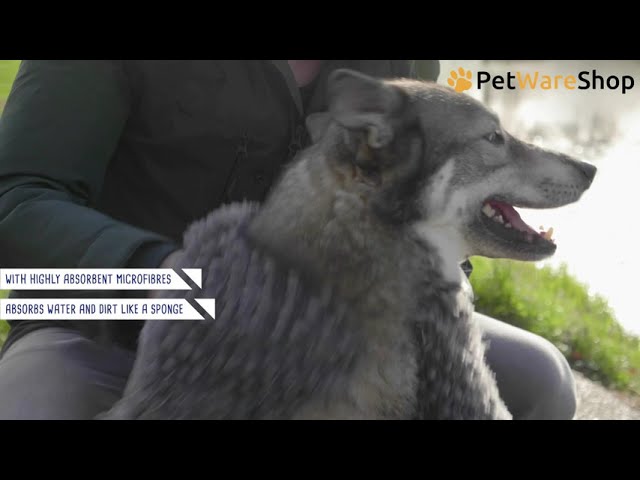 Royal Dry (EN) - PetWareShop