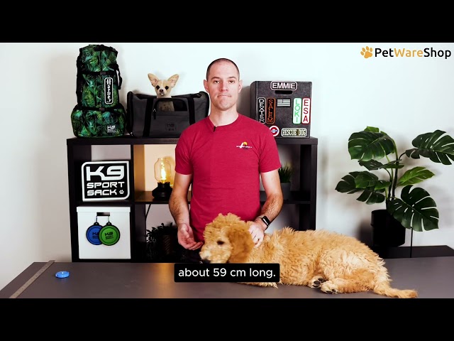 Video K9 Sport Sack - How to choose the correct size