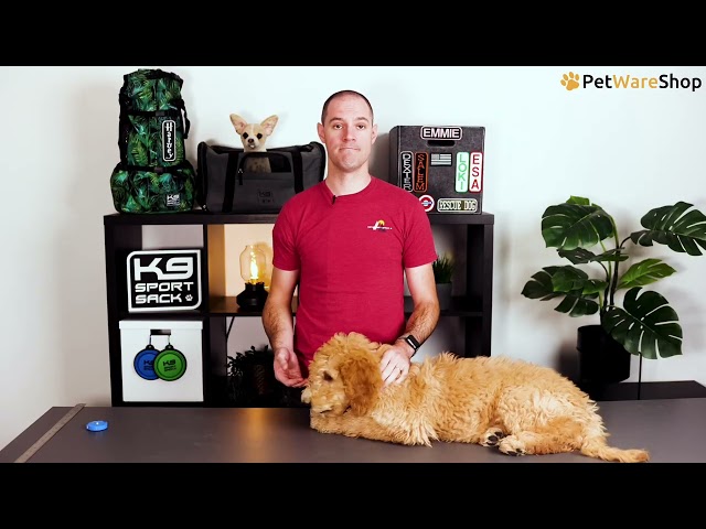 Video K9 Sport Sack - How to choose the correct size