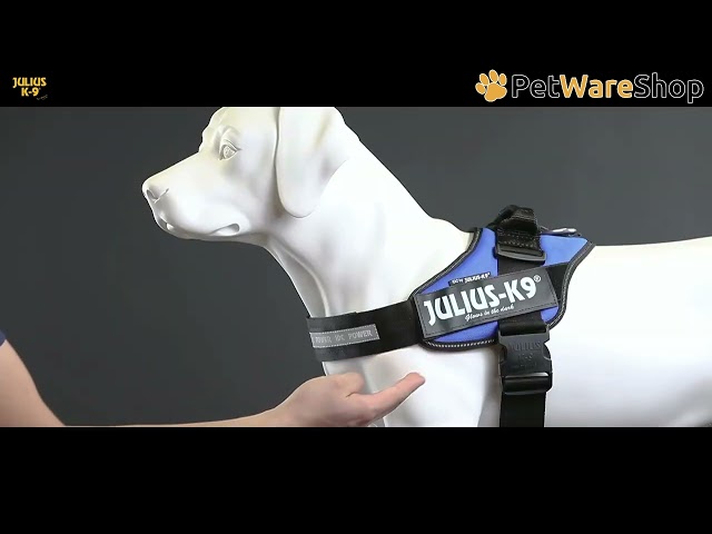 K9-Julius - IDC&reg; Powerharness (DE) - PetWareShop
