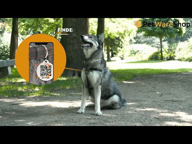 Spotted! Pro (EN) - PetWareShop