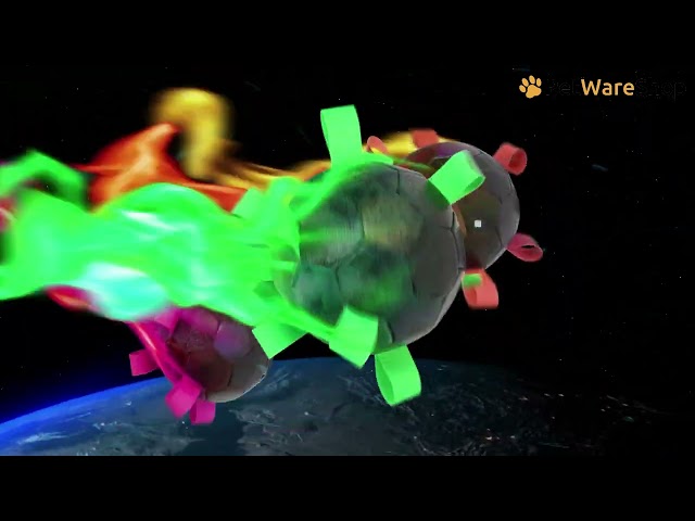Dog Comets Hypernova (EN) - PetWareShop
