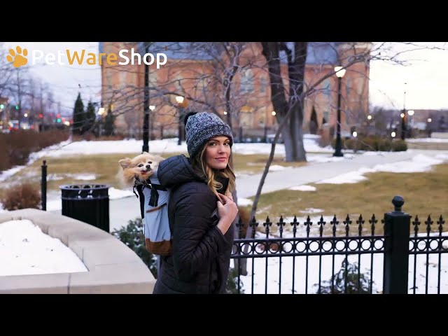 Video K9 Sport Sack - Brand Highlight (FR)