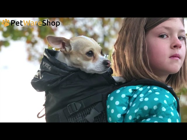 Video K9 Sport Sack - How to choose the correct size