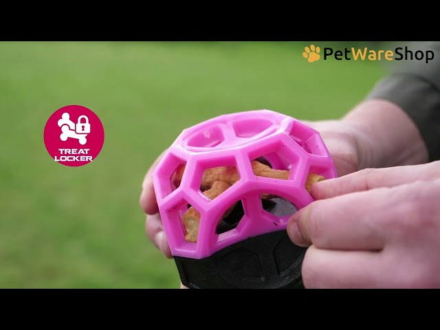 Dog Comets Moonstone (EN) - PetWareShop