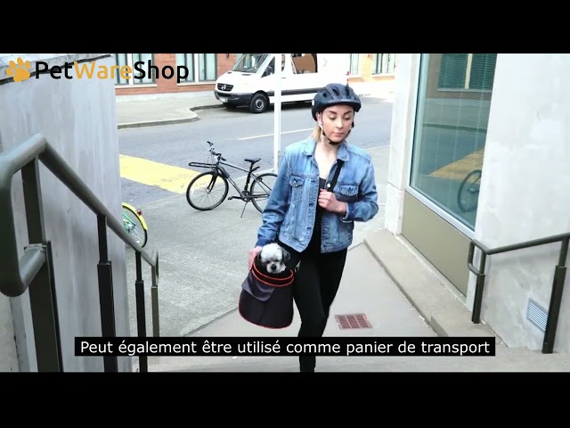 Video DoggyRide - Cocoon (FR)